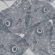 Sans titre (Studio Muzéo) - Muzeo.com