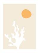 Seaweed (1x Studio) - Muzeo.com