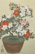 Azalée en pot (Ohara Koson) - Muzeo.com