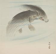 Carpes (Ohara Koson) - Muzeo.com