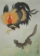 Coq et Belette (Ohara Koson) - Muzeo.com