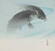 Deux carpes (Ohara Koson) - Muzeo.com