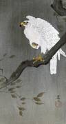 Faucon sur une branche (Ohara Koson) - Muzeo.com