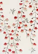Fleur de cerisier (Watanabe Seitei) - Muzeo.com