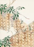 Glycine (Watanabe Seitei) - Muzeo.com