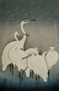 Groupe d'aigrettes (Ohara Koson) - Muzeo.com