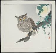 Hibou (Ohara Koson) - Muzeo.com