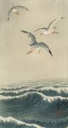 Mouettes en mer (Ohara Koson) - Muzeo.com