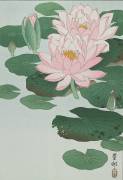 Nénuphar (Ohara Koson) - Muzeo.com