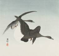 Oies en vol (Ohara Koson) - Muzeo.com