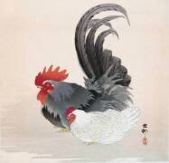 Poulet et coq (Ohara Koson) - Muzeo.com