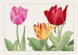 Tulipes (Tanigami Kônan) - Muzeo.com