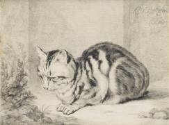 Le chat couché (anonyme) - Muzeo.com