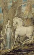 Le cheval (William Blake) - Muzeo.com
