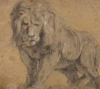 Lion (Pierre Paul Rubens) - Muzeo.com