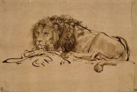 Lion au repos (Rembrandt) - Muzeo.com