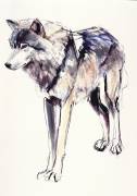 Alpha (Mark Adlington) - Muzeo.com