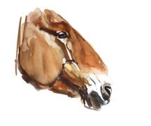 Ancient Head (Mark Adlington) - Muzeo.com