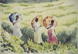 Parasols, Ramboda (Wilson Clive) - Muzeo.com