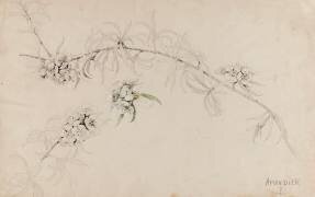 Amandier (Emile Gallé) - Muzeo.com