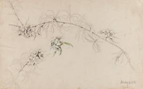 Amandier (Emile Gallé) - Muzeo.com