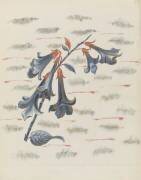 Campanules (Louis Hestaux) - Muzeo.com