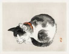 Chat endormi (Kono Barei) - Muzeo.com