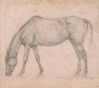 Etude de cheval (Edgar Degas) - Muzeo.com