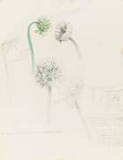 Fleurs d'ail (Emile Gallé) - Muzeo.com