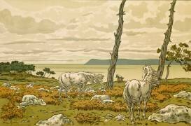 La Baie (Henri Rivière) - Muzeo.com