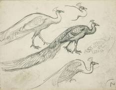 Paons de profil (Eugène Grasset) - Muzeo.com