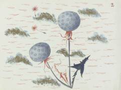 Pissenlit (Louis Hestaux) - Muzeo.com