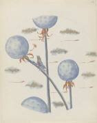 Pissenlits et grenouilles (Louis Hestaux) - Muzeo.com