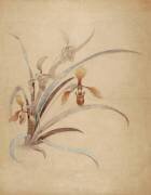 sans titre (Emile Gallé) - Muzeo.com