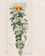 Tournesol (Emile Gallé) - Muzeo.com