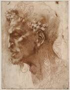 Tête de Satyre (Michel-Ange) - Muzeo.com