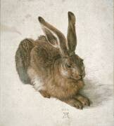Le Lièvre (Albrecht Dürer) - Muzeo.com