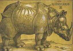 Le Rhinocéros (Albrecht Dürer) - Muzeo.com