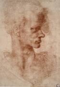 Léonard de Vinci (Léonard de Vinci) - Muzeo.com