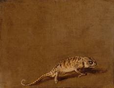 Caméléon (Pieter Boel) - Muzeo.com