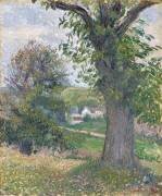 Châtaigniers à Osny (Camille Pissarro) - Muzeo.com