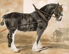 Cheval noir harnaché (Théodore Géricault) - Muzeo.com