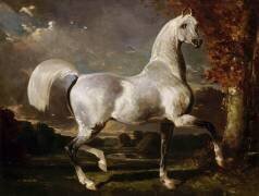 Etalon Arabe (Alfred Dedreux) - Muzeo.com