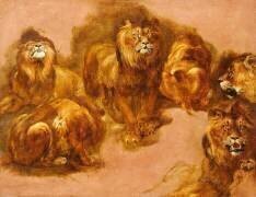 Etudes de lions (Pieter Boel) - Muzeo.com