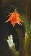 Fleur de cactus (Gustave Moreau) - Muzeo.com