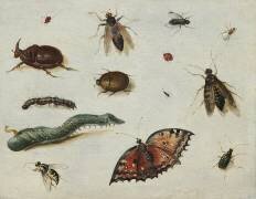 Insectes (Jan van Kessel) - Muzeo.com