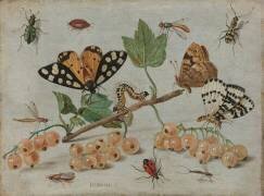 Insectes et fruits (Jan van Kessel) - Muzeo.com