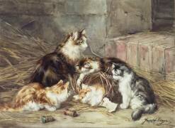 Jeunes chats (Jane Hazon de Saint-Firmin) - Muzeo.com
