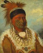 Le nuage blanc (George Catlin) - Muzeo.com