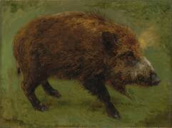 Le sanglier (Rosa Bonheur) - Muzeo.com